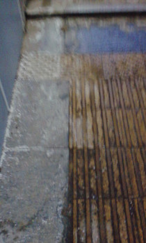 IMG_20190108_100502.jpg
