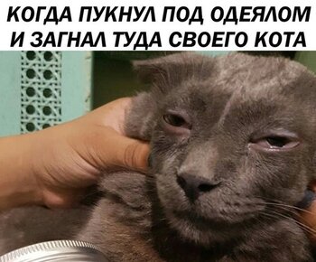 YWiPVnVxmLA.jpg
