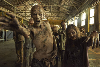 tv-series-the-walking-dead-48440.jpg