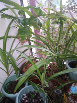 IMG_20220517_144024.jpg