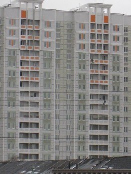 IMG_9724-1.JPG