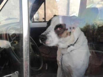 2011-12-19 16.00.25.jpg