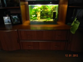 Изображение 005.jpg