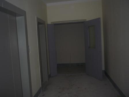 11.JPG