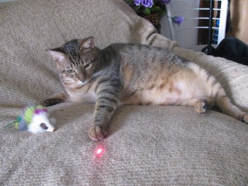 Израиль,Иордания 210.jpg