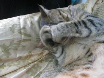 Израиль,Иордания 365.jpg