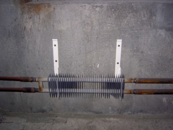 PICT1074 (800x600).jpg