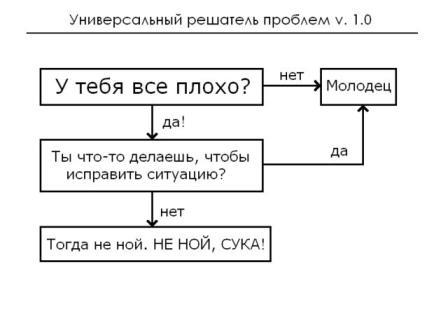 сука молодец.jpg
