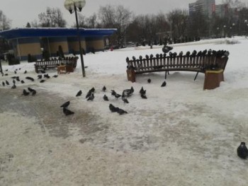 2012-02-21 13.17.13.jpg