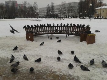 2012-02-21 13.17.25.jpg