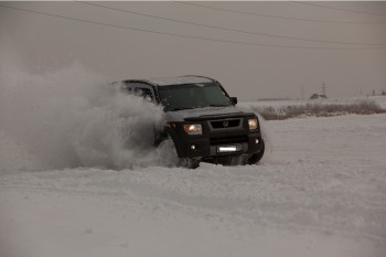 IMG_2242_1.jpg