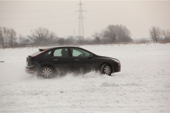 IMG_2204_1.jpg