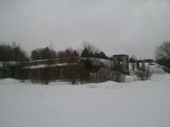 SNC00604.jpg