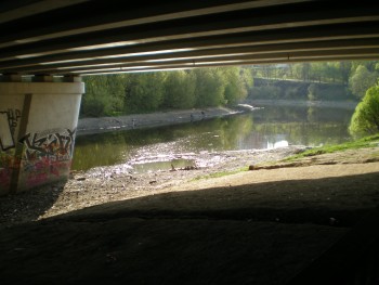 P5050955.JPG