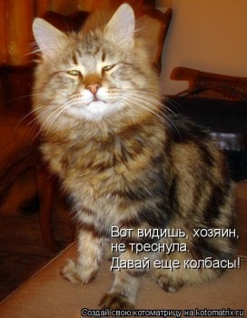 52267271_pohozh_na_barsika.jpg