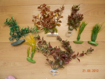 DSCN3470.JPG