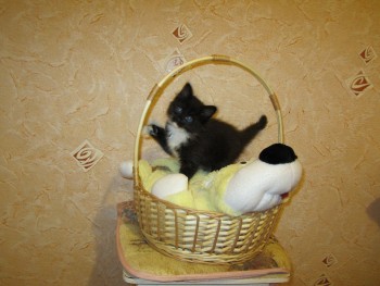 IMG_0014.jpg