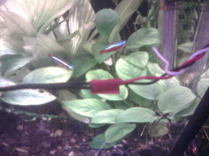 изоляция скрутки