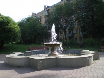 6254.jpg