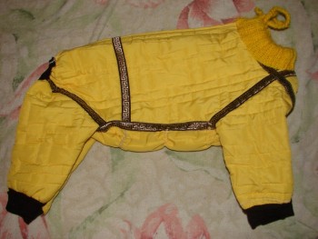 DSC02503~2.jpg