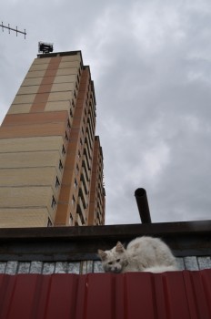 DSC_0058.jpg
