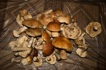 IMG_1148.jpg