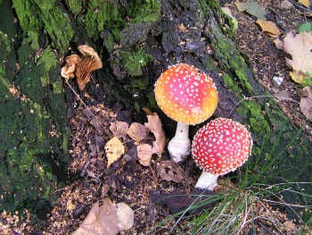 P9160252.JPG