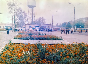 3676.jpg