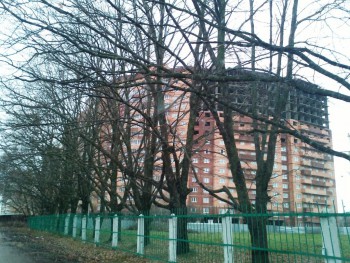 IMG232.jpg