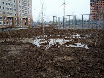 IMG_20121121_110746.jpg