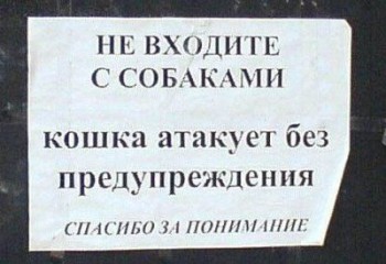 кошки против собак.jpg