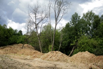 так выглядит место после &quot;ремонта&quot; - погиб ряд деревьев