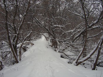 Кузовлев овраг