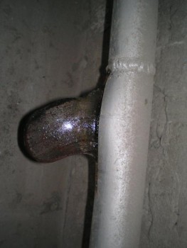 a05.jpg