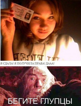 бегите.jpg