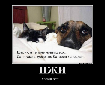 690334_pzhi_demotivators_ru.png