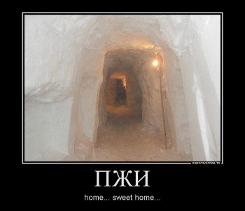 737672_pzhi_demotivators_ru.jpg