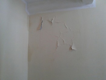 Пожарная лестница между 15 и 16