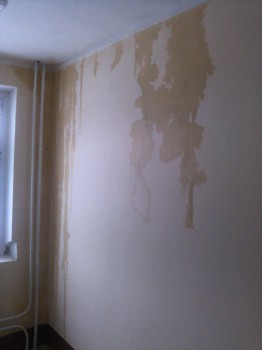 стена напротив лифтов