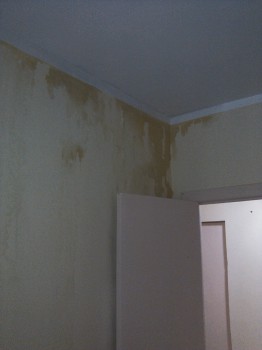 она же, но перед входом в общий коридор