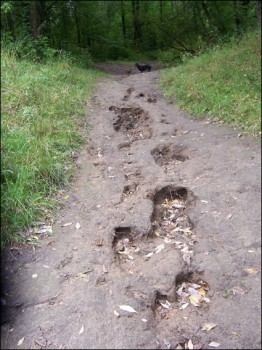 эрозия почвы.jpg