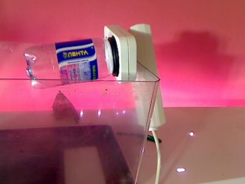 Picture 15.jpg