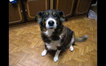 найда 1 - копия.jpg