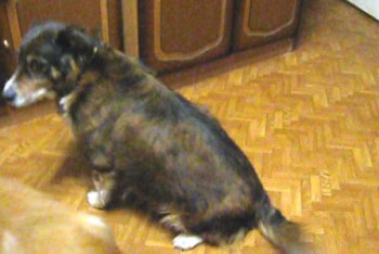 найда 4 - копия.jpg