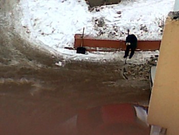 01032010_003.jpg