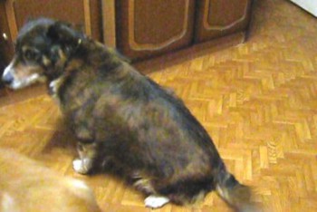 найда 4 - копия.jpg