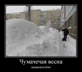 чумачечая.jpg