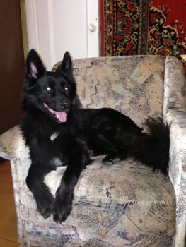 фотография (13).JPG