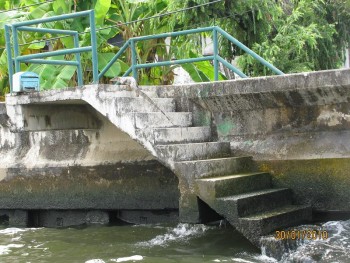 Бангкок.Варан на прогулке