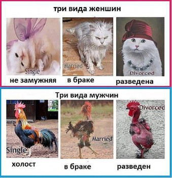 getImage (1).jpg